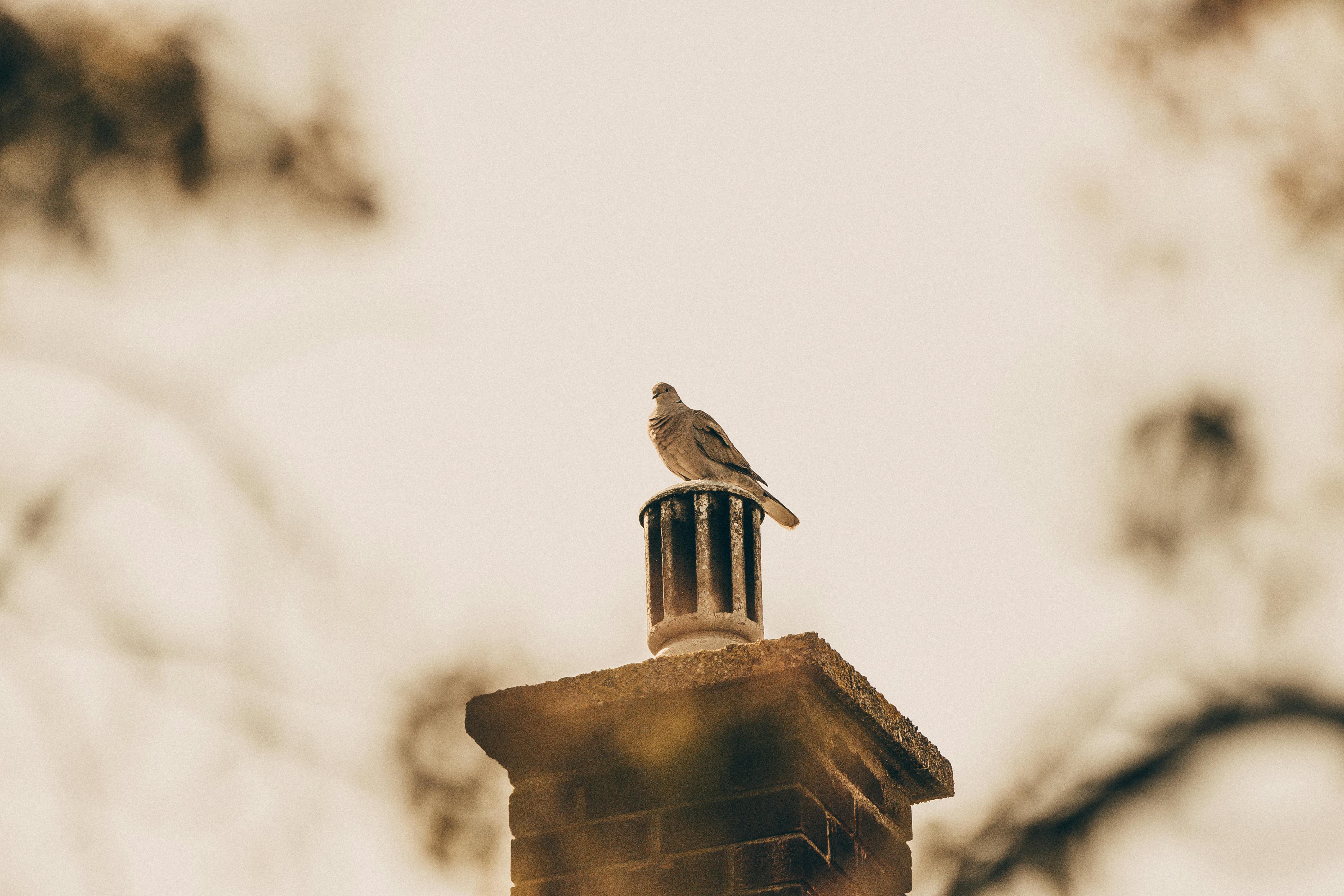 Expert Chimney Cap Installation in Billerica, Massachusetts